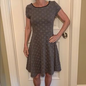 Polka dot Grey Dress
